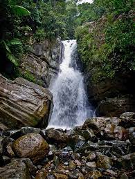 On may 13, 2021 by the travel brats. 10 Things To Know Before Visiting El Yunque Rainforest