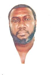 Vincent K. Lake Dies