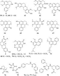 Image result for Monanthotaxis trichantha