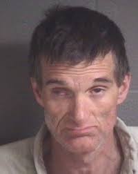 Police arrest pair after South Asheville package theft