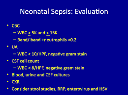 Image result for Neonatal Sepsis