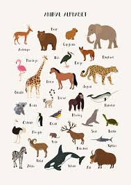 Animal Alphabet Poster Animal Pictures For Kids Animal Posters Animal Alphabet