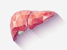 Liver Function Tests Purpose Procedure And Risk