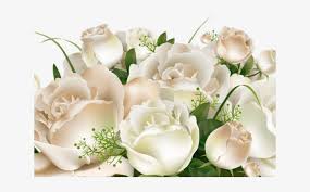 Maybe you would like to learn more about one of these? White Rose Clipart Yoville White Roses Transparent Background Png Image Transparent Png Free Download On Seekpng