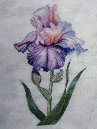 Purple iris flowers inspired mary delany counted cross stitch pattern. Iris Cross Stitch Cross Stitch Patterns Cross Stitch Floral Cross Stitch