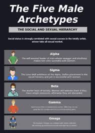 Gamma Male Definition Google Search Sigma Male Alpha Male Traits Sigma