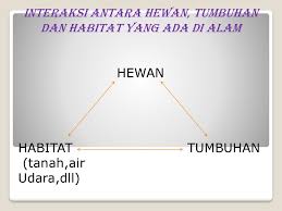 Komunitas hewan, tumbuhan dan habitatnya : Ekosistem Oleh P Prastowo Ppt Download