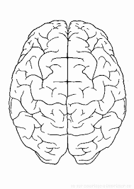 Best Anatomy Coloring Book Luxury Brain Coloring Page Brain Coloring Page Growth Mindset In 2020 Brain Drawing Anatomy Coloring Book Human Body Crafts