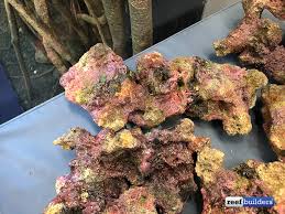 Hold a coral gemstone in your hands for a while and feel it. Artificial Rock From Ats Looks Better Than The Real Thing Reef Builders The Reef And Saltwater Aquarium Blog