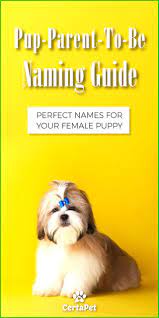 Madchen Welpe Naming Guide Dog Names Female Dog Names Puppies