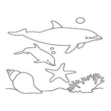 This ocean coloring page featuring a delightful dolphin will keep your first grader entertained and in tuned to fun sea animal facts! Top 20 Free Printable Dolphin Coloring Pages Online