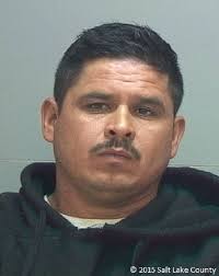 Homeowner upset about reckless driver's quick release from jail