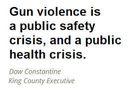Gun Violence Prevention King County