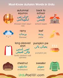 Urdu Phrases Archives - UrduPod101.com Blog