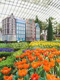 However, to enter both the flower dome and cloud forest, the admission fee is $21 (28 singapore dollars) for adults and $11 (sgd15) for children aged three to 12. Flower Dome Tropical Flowers Gardens By The Bay