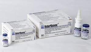 Una Vacuna Cubana Efectiva Contra La Hepatitis B Salud Granma Organo Oficial Del Pcc
