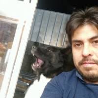 20+ "Dan Naiman" profiles