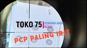 Kelengkapan hanya unit dan tas. Jual Senapanangin Paling Ringan Pcp 4000 Psi Big Game 80x Tembak Kab Ngawi 75al Tokopedia