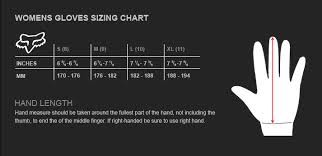 Index Of Store Media Measurements