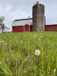 Image result for tbn:0PJB32OL7JwfOM::farm4.static.flickr.com/3324/3329876139_f2d551139f.jpg