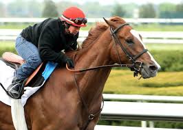 Welcome To Keeneland Keeneland Thoroughbred Racing And Sales Keeneland Horse Racing Track Horse Racing