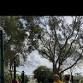 Adult Parkour Workshop