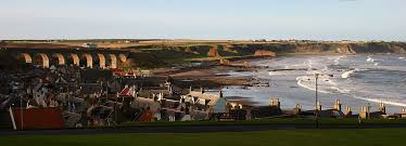 Image result for Cullen