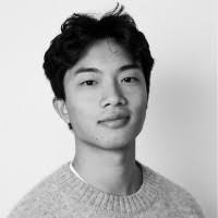 100+ “Hoang” profiler