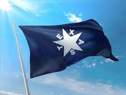 Check spelling or type a new query. Battle Flag Of Texas First Republic 1836 De Zavala