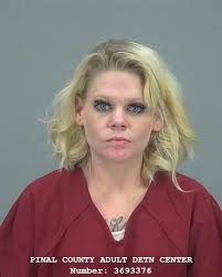 Pinal County Sheriff's log, 06/06/23