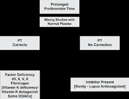 Screening Tests In Haemostasis The Prothrombin Time Pt