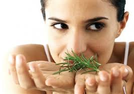 Flor Soria (florsoria3)