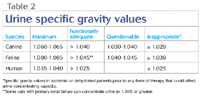 When Urine Specific Gravity Values Go Awry In Veterinary Practice Dvm 360