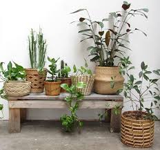 Balcony Decor Ideas Let S Start With The Floor Plants Plant Decor Indoor Plants