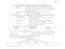 Evidence Of Evolution Worksheets Answers Systems Word Problems Types Of Sentences Worksheet Worksheets