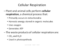Maybe you would like to learn more about one of these? Cellular Respiration Obtaining Energy From Food Ppt Download