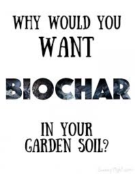 In this episode, you will discover how biochar can be made in a pit with wood and then how it is processed into a mature biochar. How To Make Biochar For Improved Garden Soil A Magical Mess