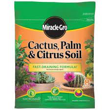 Bonsai pumice professional american additive. Pin On Garden