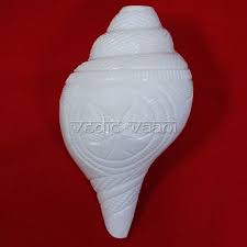 Amazon.Com: Pujan Conch With Stand/Blowing Shankh Natural For Pooja  Loud/Pujan Conch/Conch For Temple, Home, Offfice/Loud Echo Sound Conch( 6  Inch) : Musical Instruments