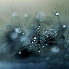 I Love This Photo Simple And Refined Jade In The Rough Beautiful Photos Of Nature Beautiful Nature Nature Photos