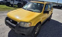 Image result for Chrome Yellow 2003 Escape