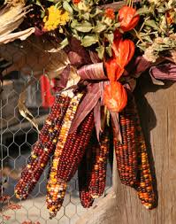 Maybe you would like to learn more about one of these? Indian Corn Wisconsin Horticulture