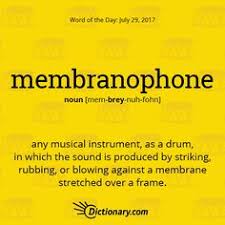 Membranophone Any Musical Instrument As A Drum In Which The Sound Is Produced By Striking Rubbing Or Blowing Agains Weird Words Wonderful Words Big Words