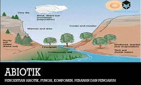 Pengertian Abiotik Fungsi Komponen Peranan Dan Pengaruh