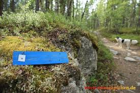 Dabei ist den finnen gar nicht so feierlich zumute. Https Www Xn Reisezpfchen Lcb De Grenzerfahrungen