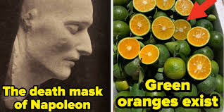 My Dumb Little Brain Just Got Turned To Mush After Seeing These 23  Absolutely Mind-Blowing Pictures For The First Time Last Week