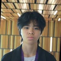 10+ "Lina Duong" profiles