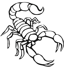 Scorpion Animal Coloring Pages Free Animals Scorpion Printable Coloring Pages For Preschool Jpg 816 881 Gambar Binatang Warna