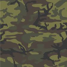 1 background 1.1 personality 1.2 biography 2 story 2.1 history 2.2 champions 2.3 return of the dragon king 2.4 rift into overdrive 3 gameplay 3.1 stats 3.2 abilites 3.3 quests 4 quotes 4.1 battle cries 4. Camouflage Wallpapers 4k Hd Camouflage Backgrounds On Wallpaperbat