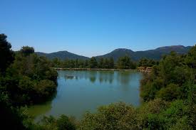 Maybe you would like to learn more about one of these? Ippokrateios Politeia Synetairismos